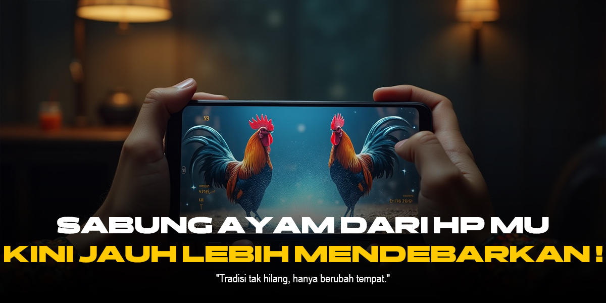 Mengenal Jenis Ayam Aduan dan Odds Sabung Ayam SV388