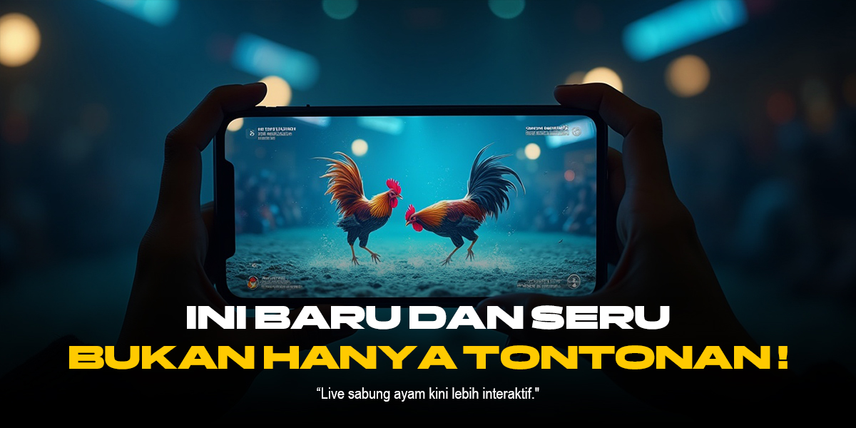 Mengenal Jenis Ayam Laga SV388 Paling Populer di Sabung Ayam