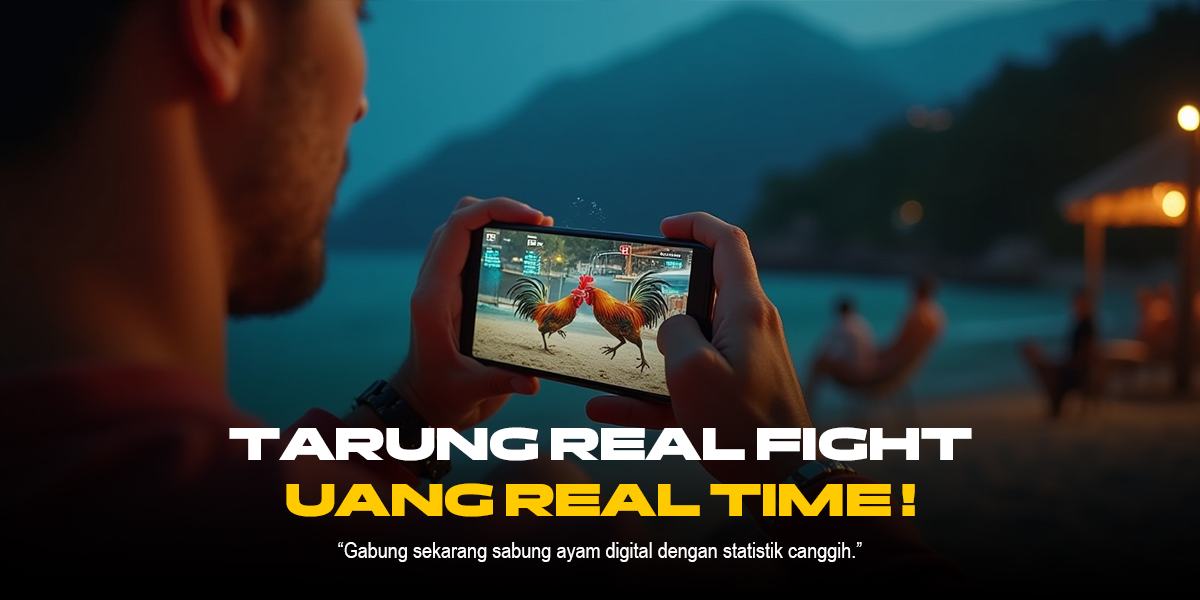 Adrenalin Sabung Ayam: Tradisi, Strategi, dan Evolusi dalam Dunia Ayam Aduan